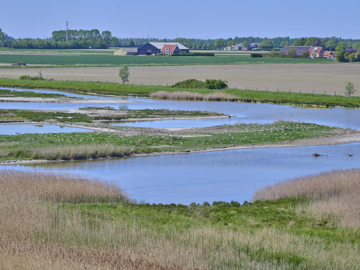 De omgeving van Baarland