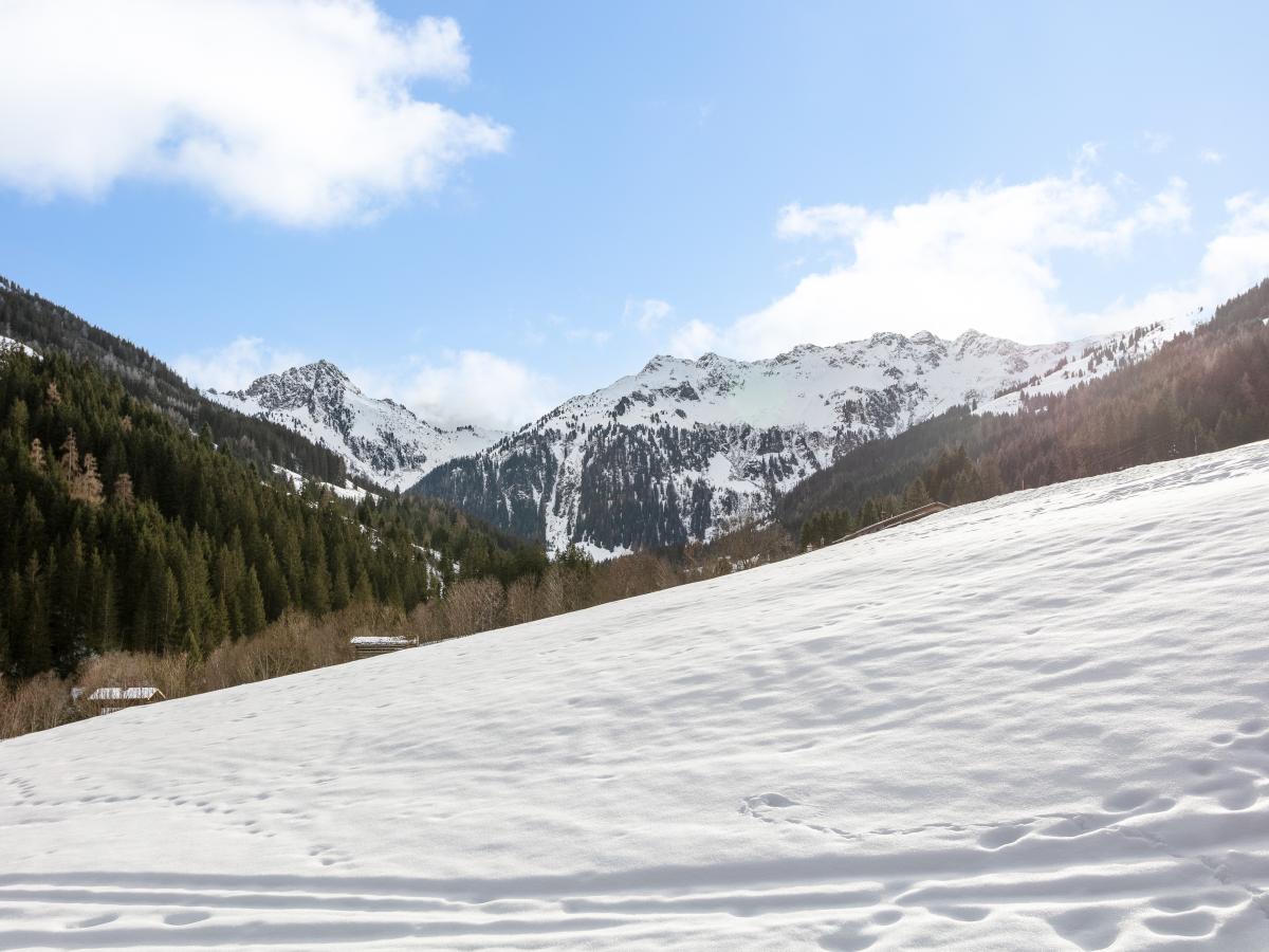 View Winter