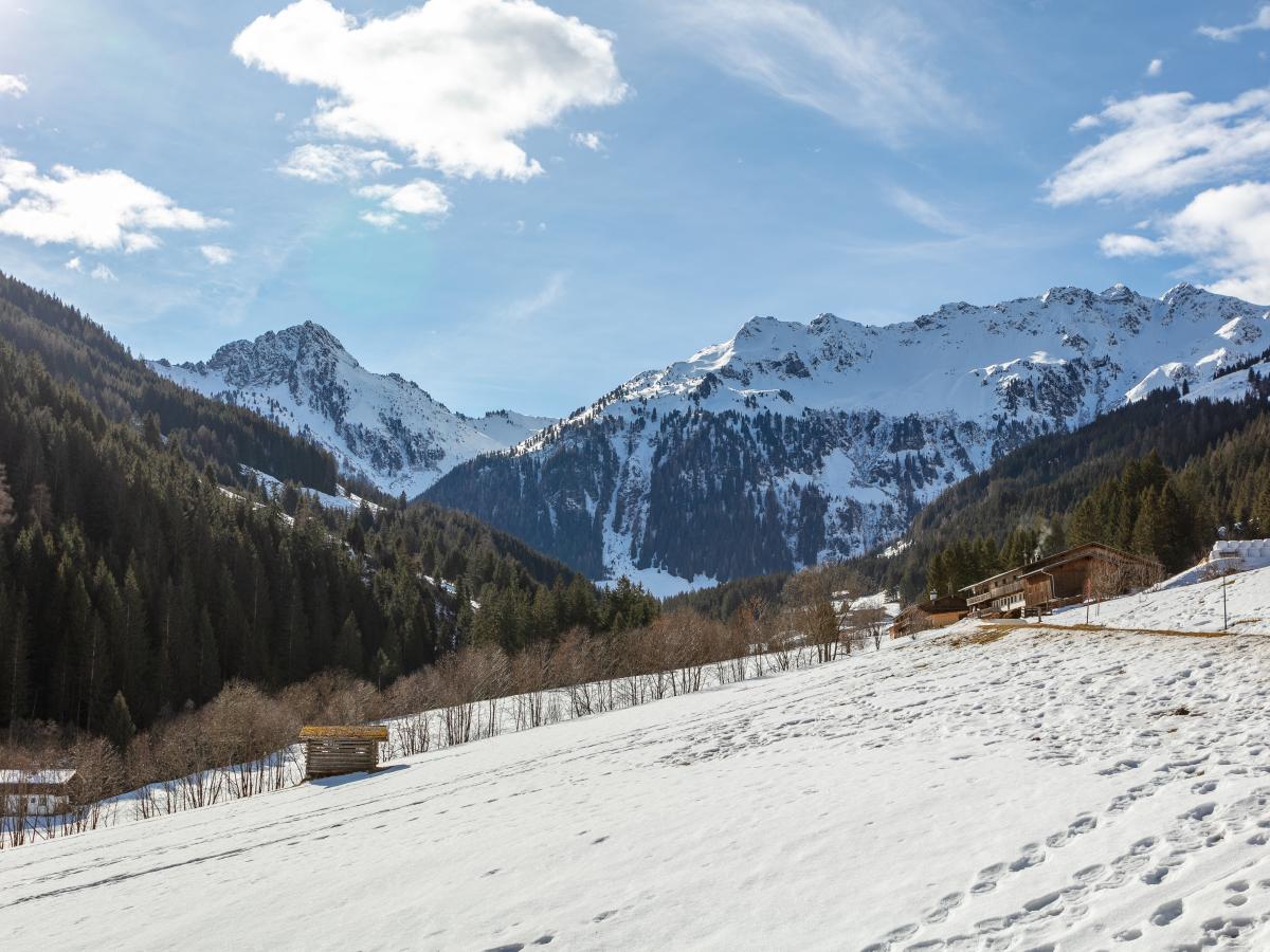 View Winter