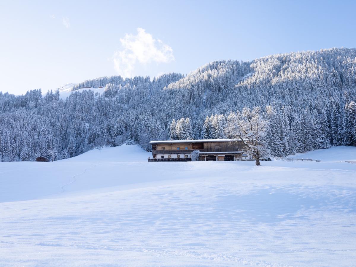 Exterior Winter