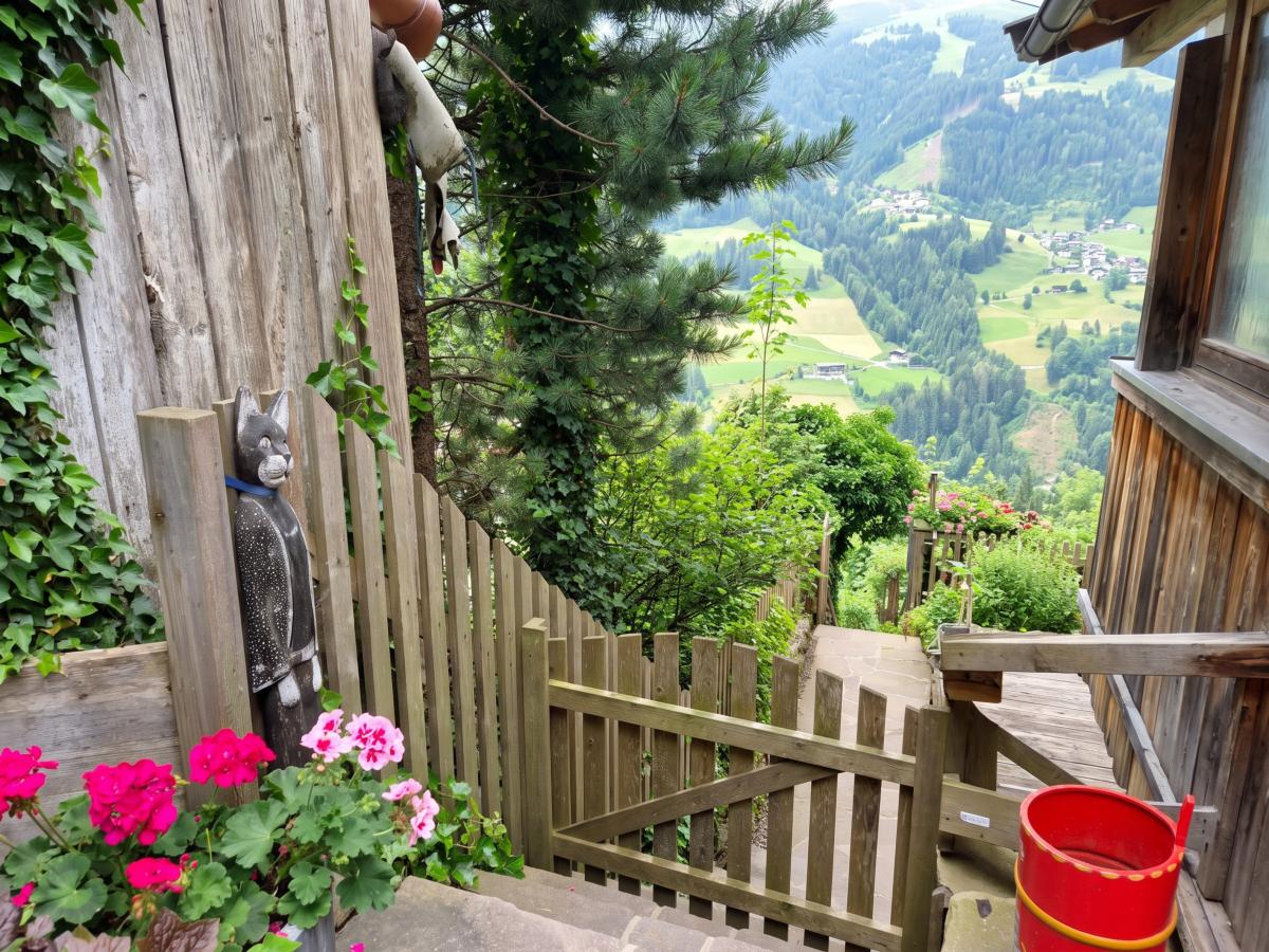 View Summer
