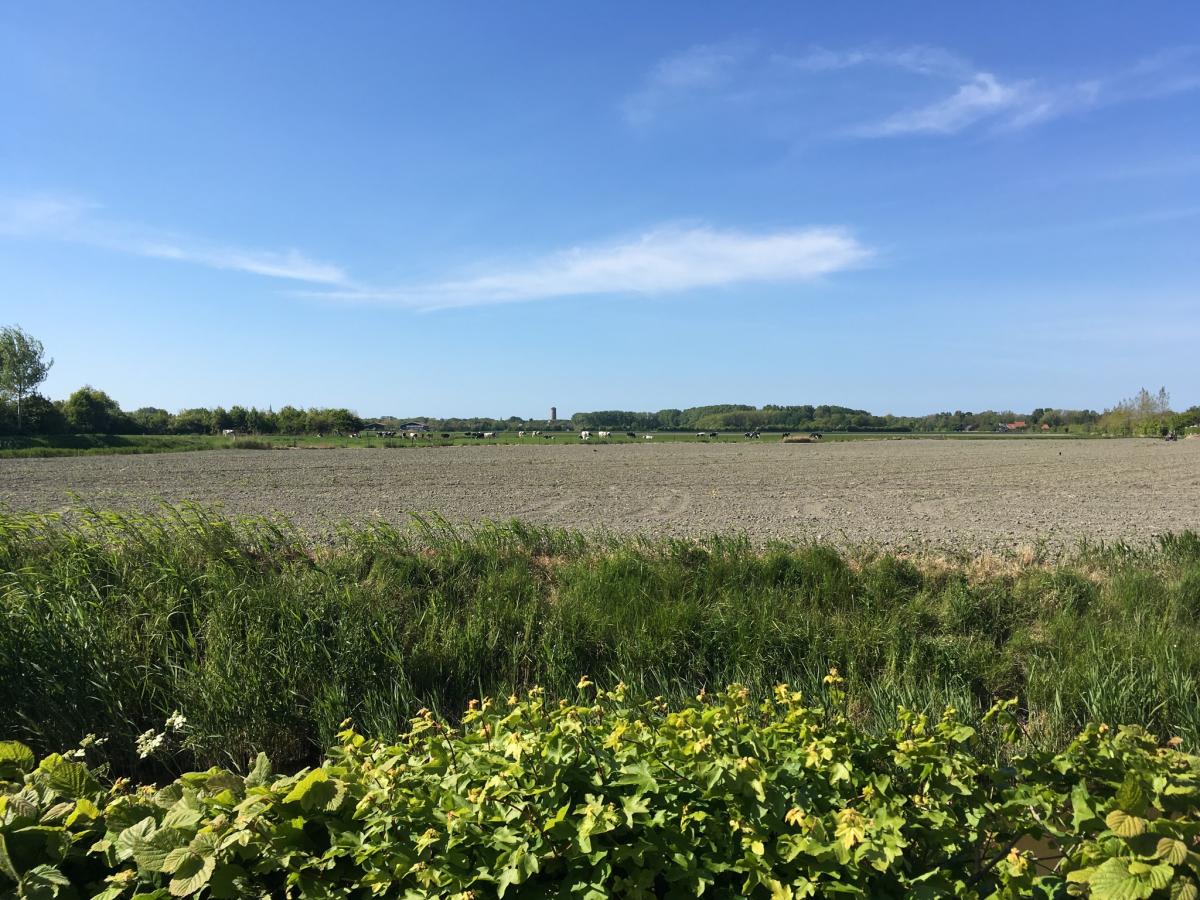 De omgeving van Oostkapelle