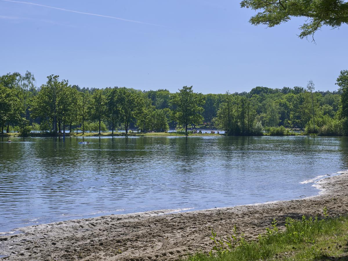 Area Summer5 K M