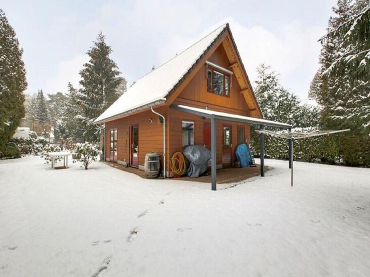 Garden Winter