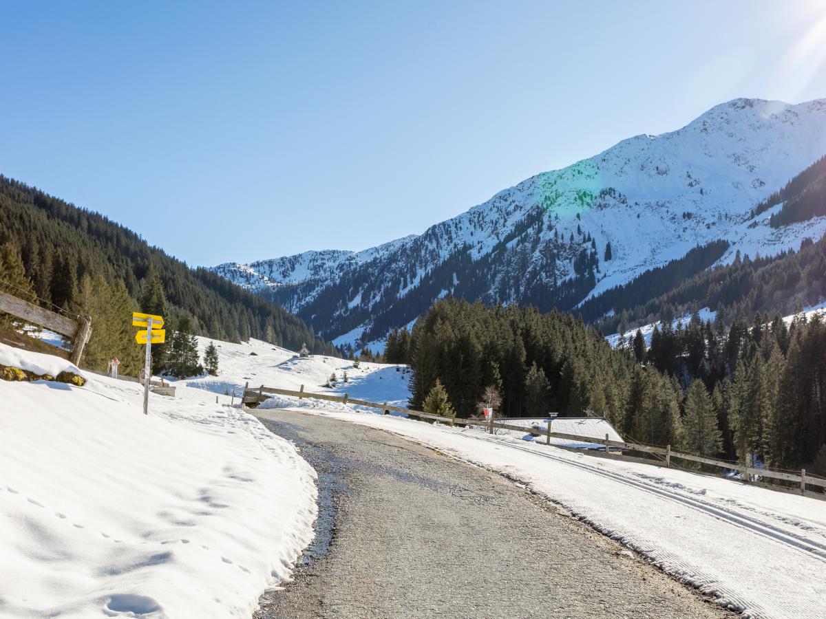 View Winter