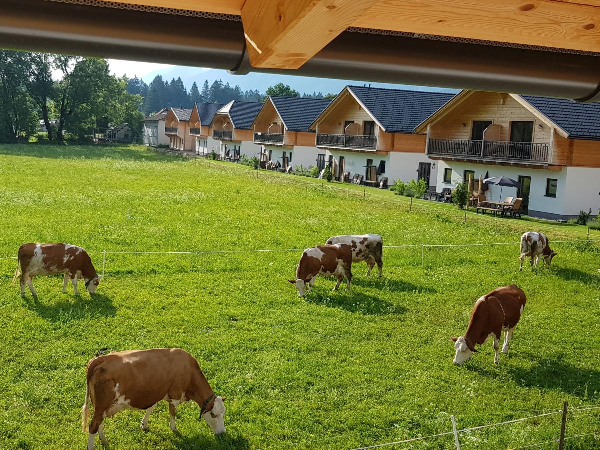 View Summer
