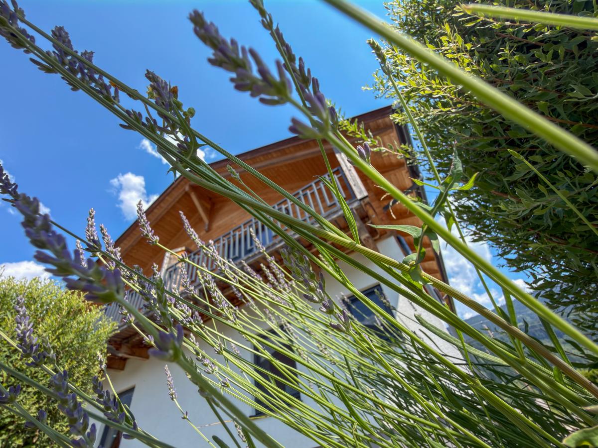 Exterior Summer