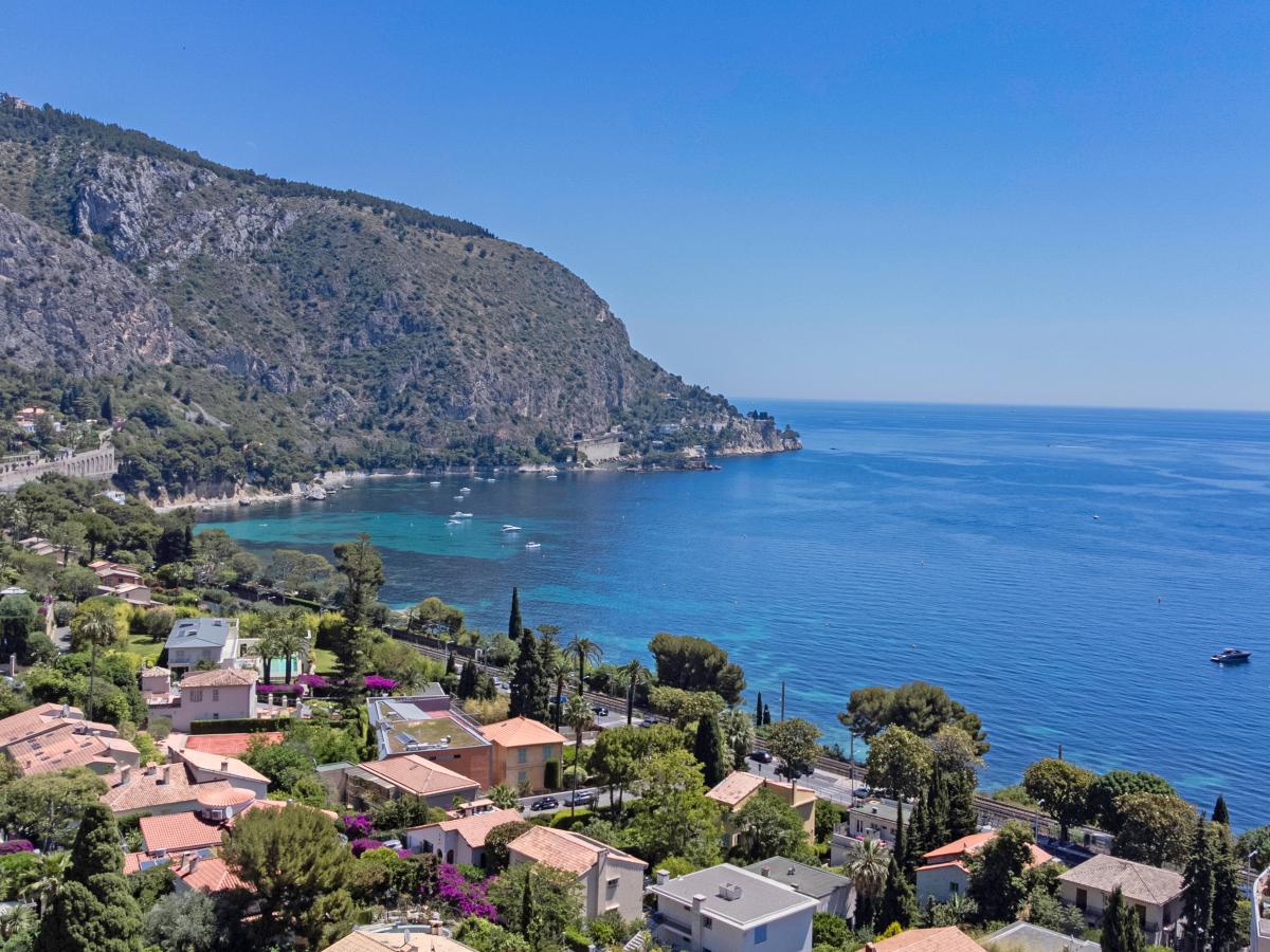 View Summer