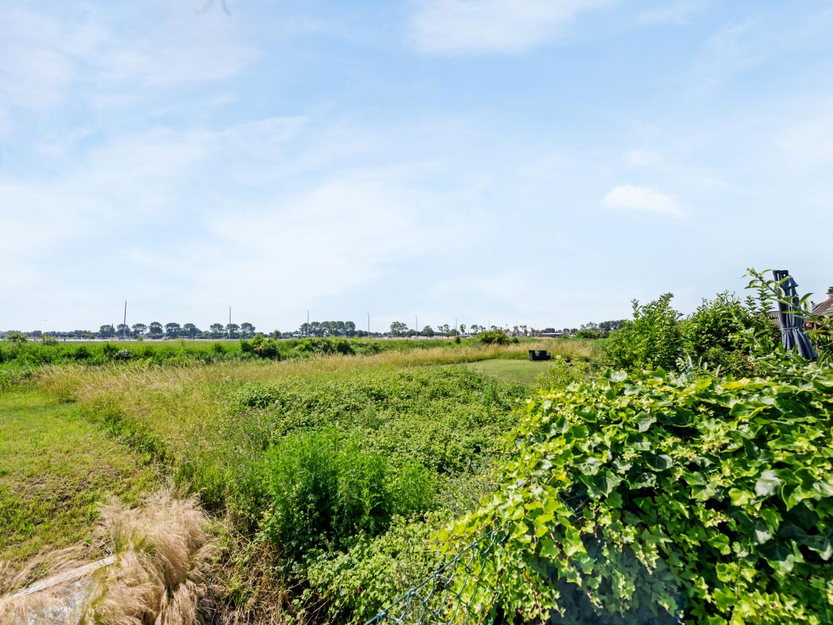 View Summer