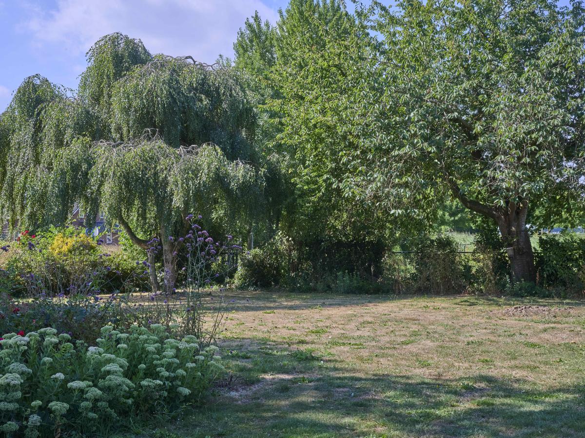 Garden Summer