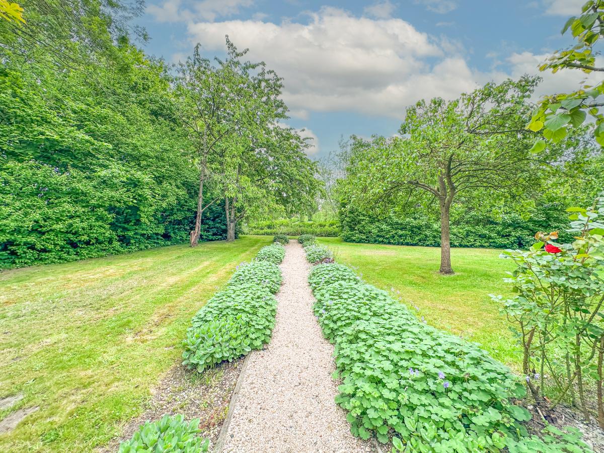 Garden Summer