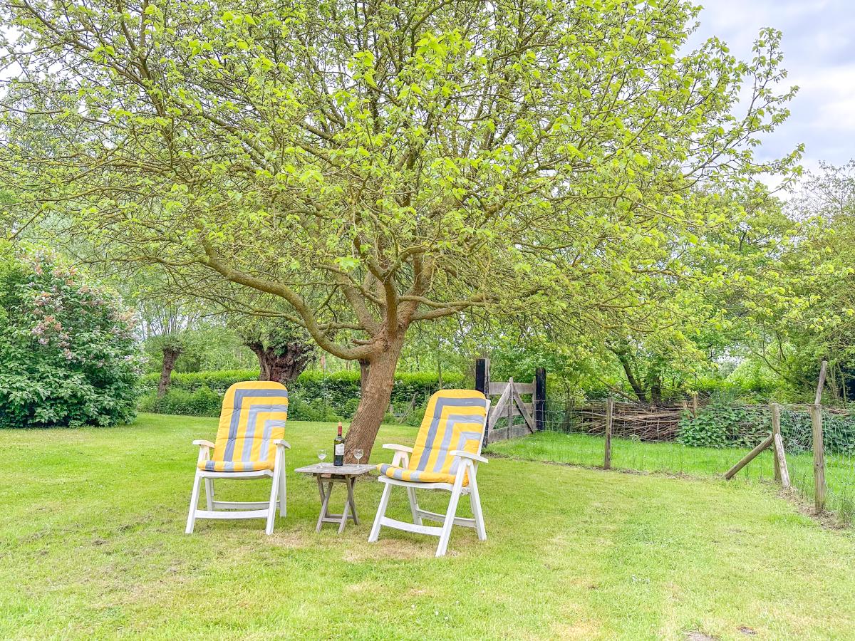 Garden Summer