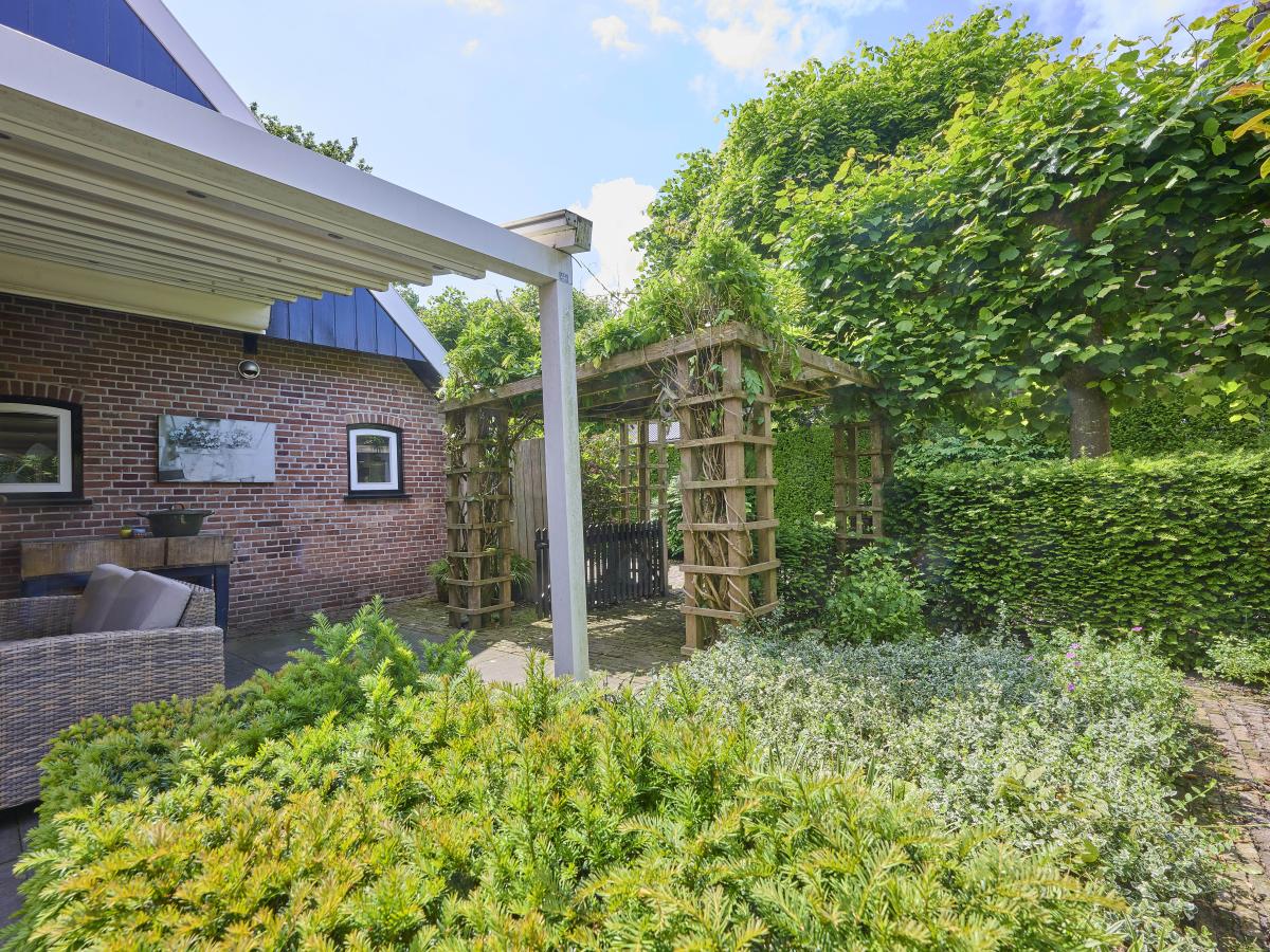 Garden Summer