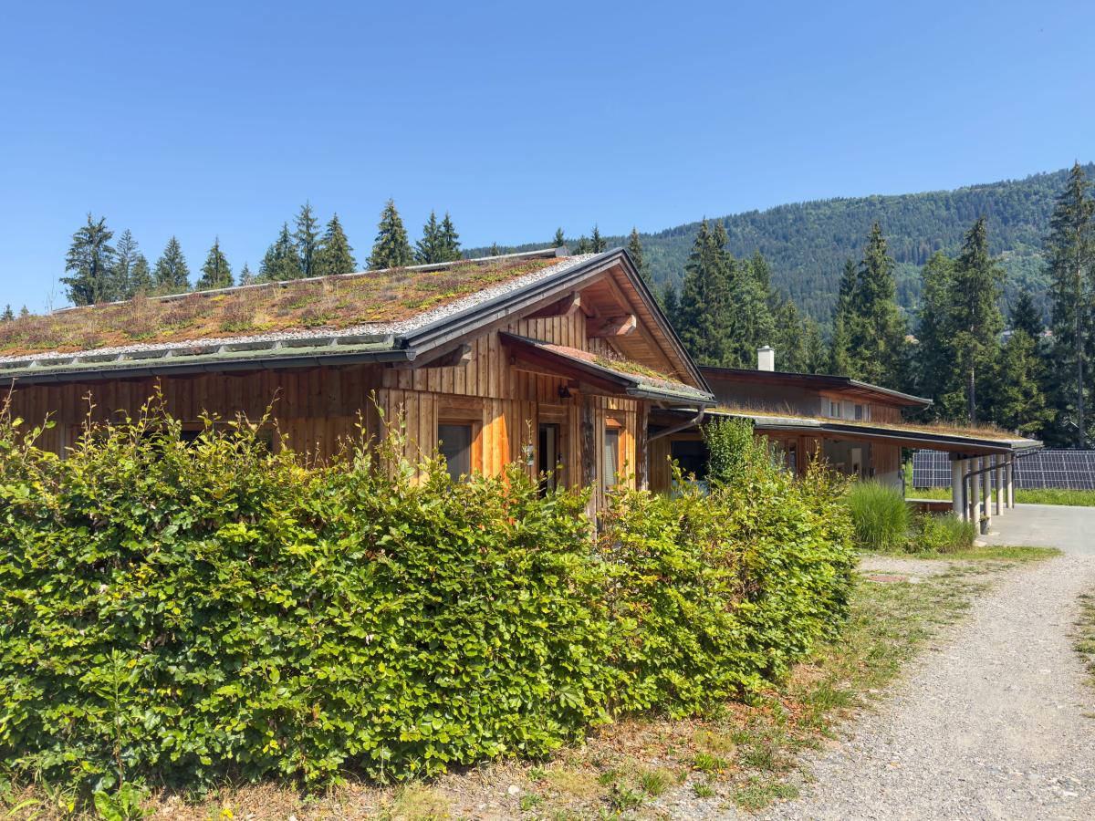 Exterior Summer