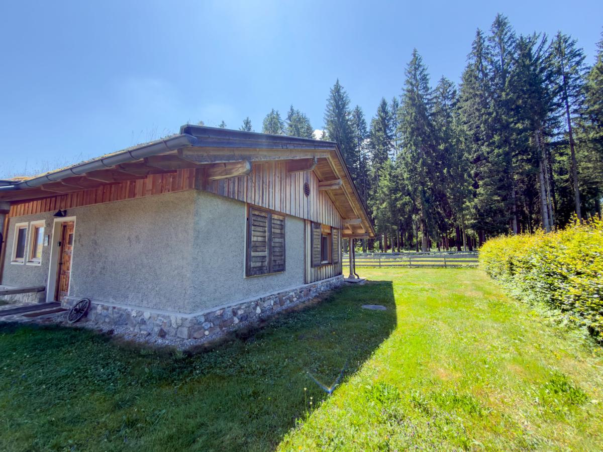 Exterior Summer