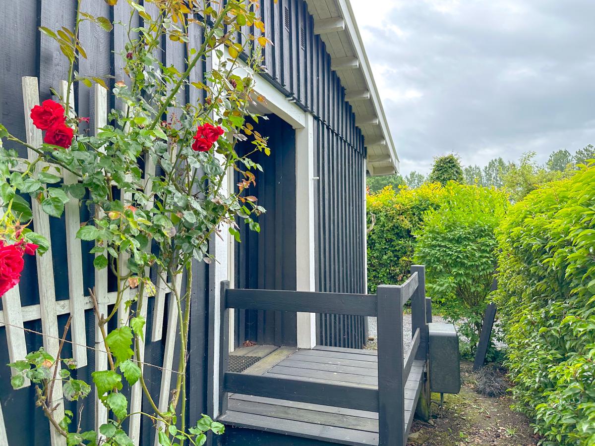 Exterior Summer