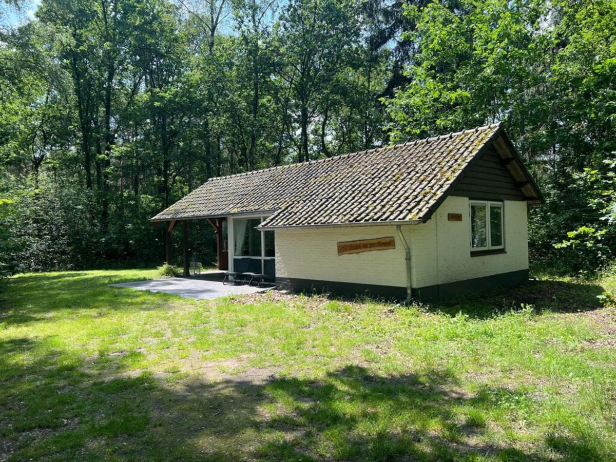 Exterior Summer