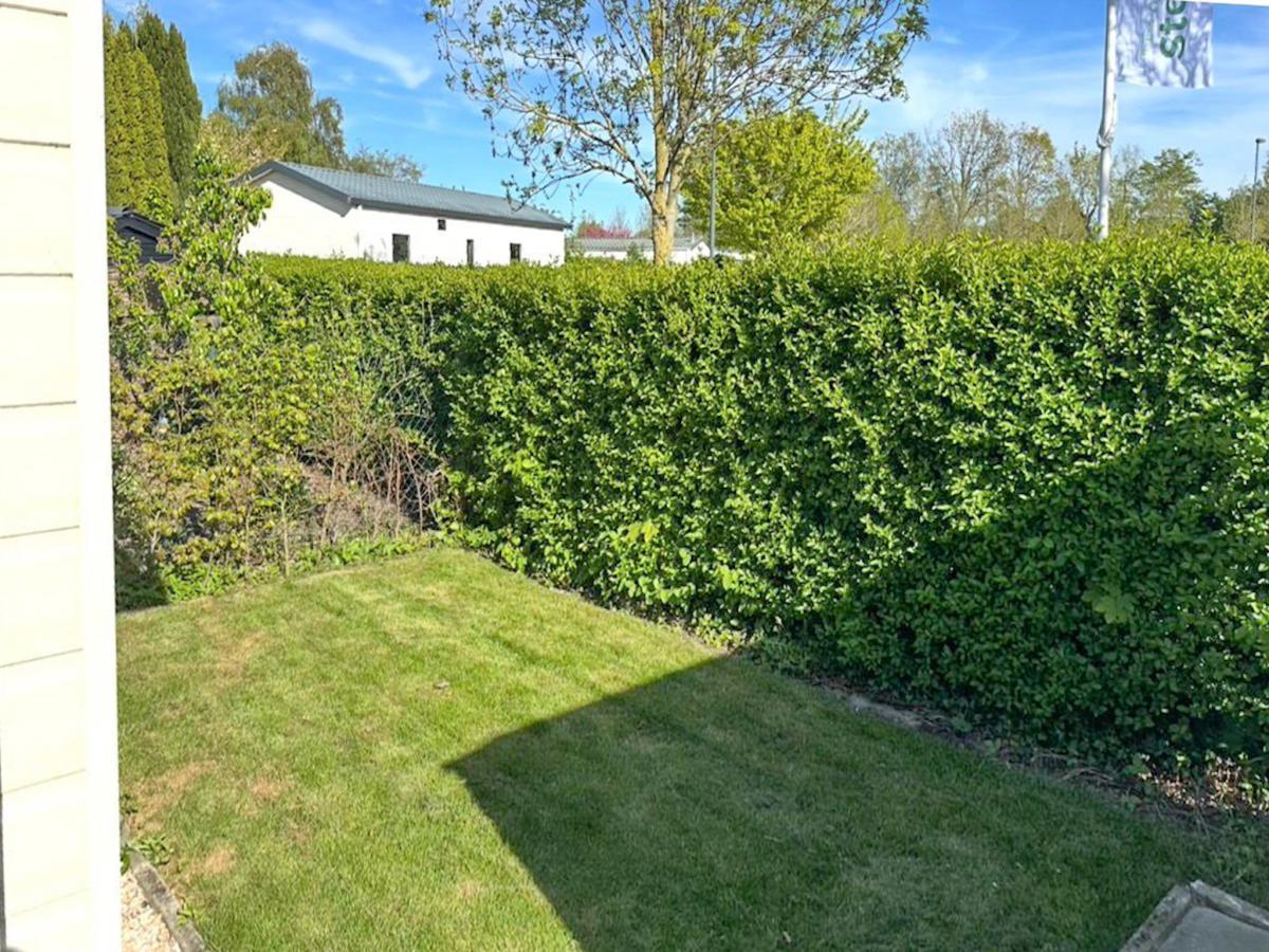 Garden Summer