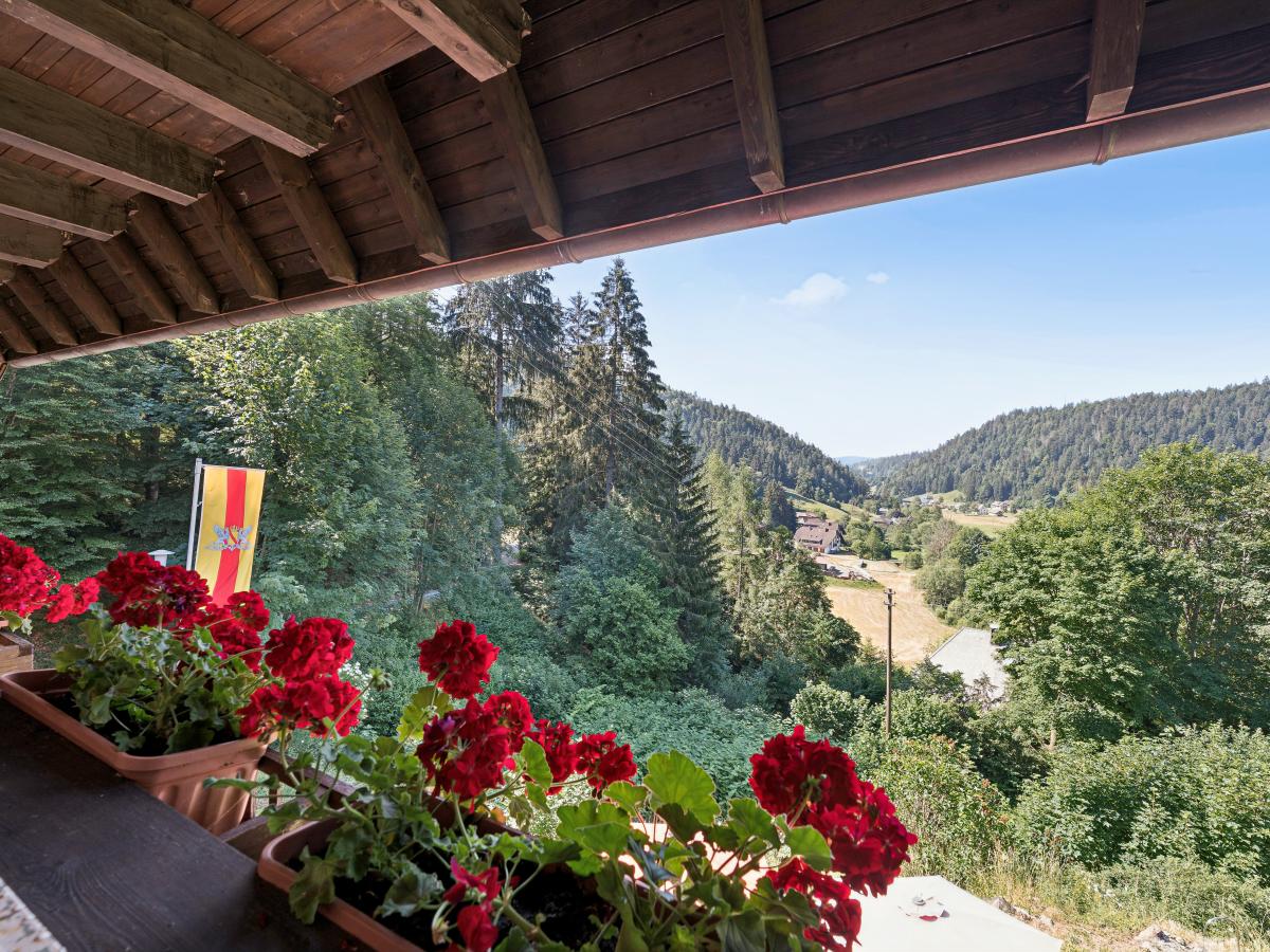 Terrace Balcony