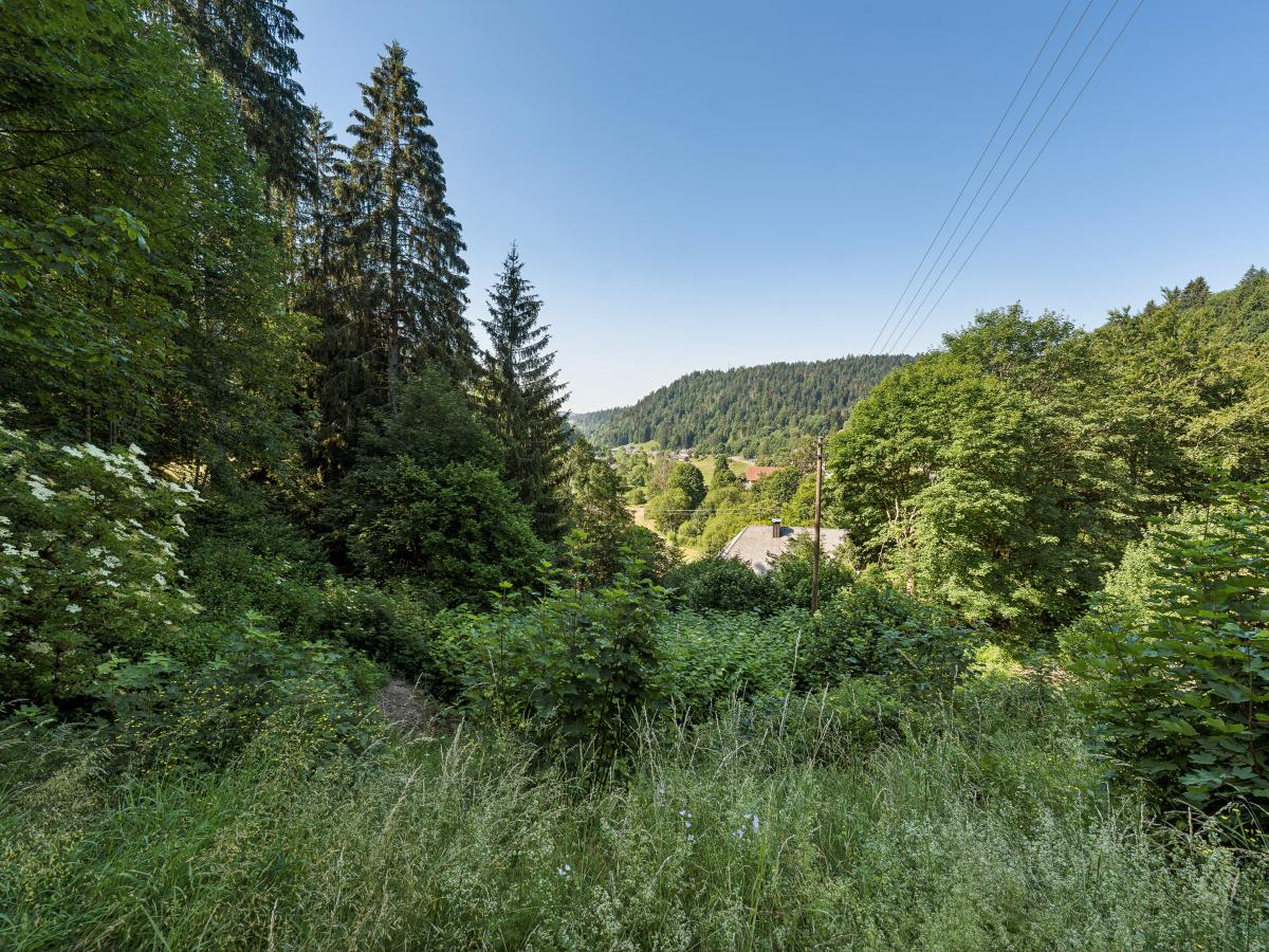 View Summer