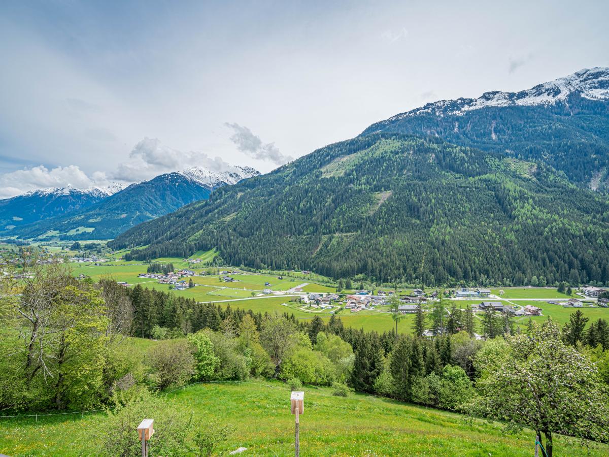 View Summer