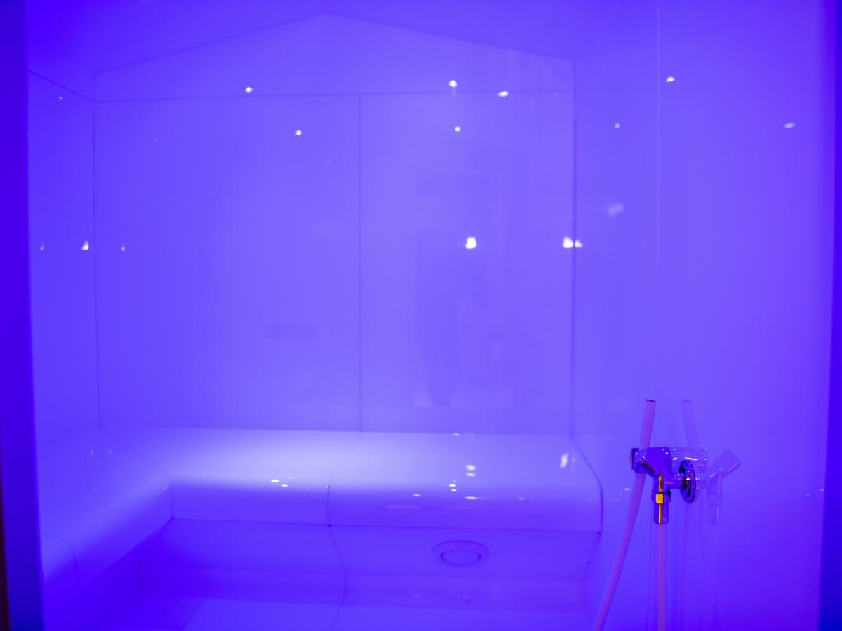 Wellness