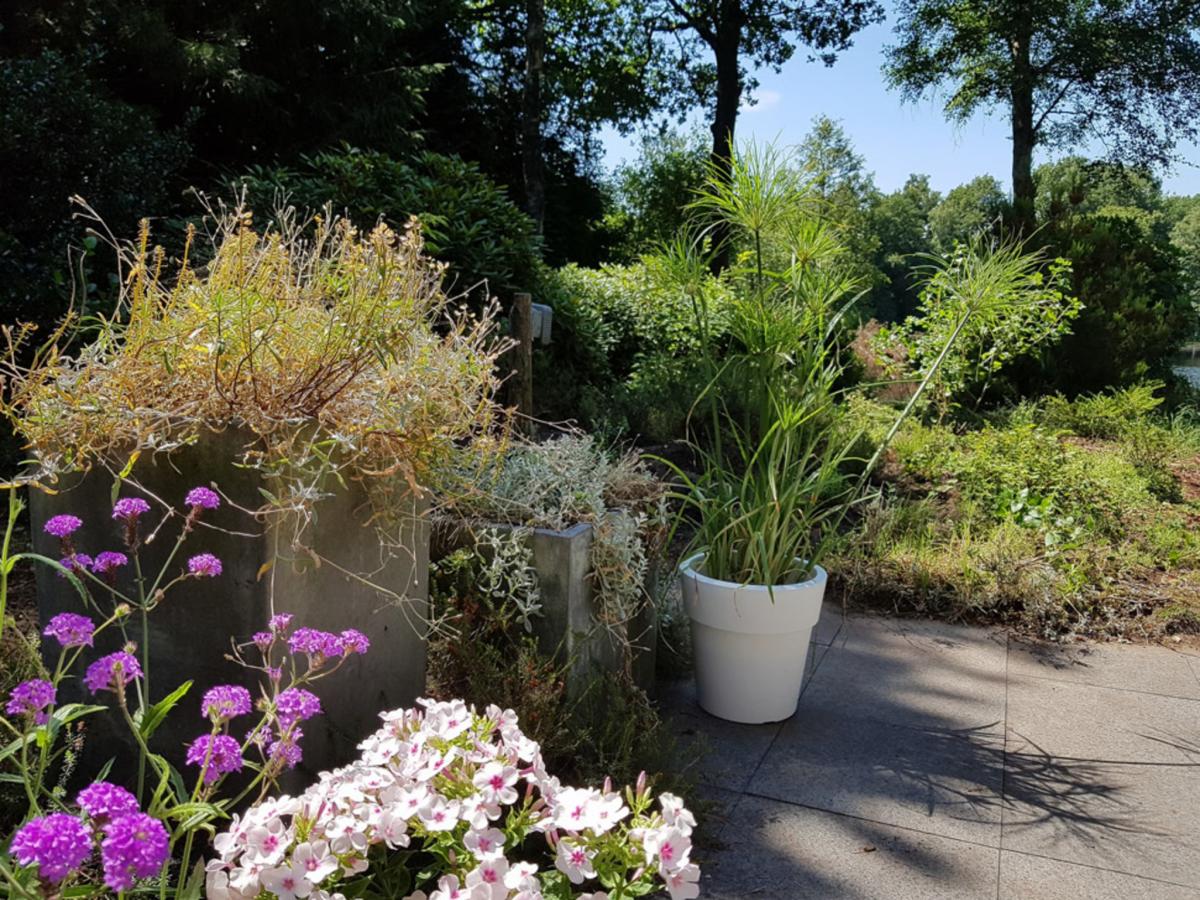 Garden Summer