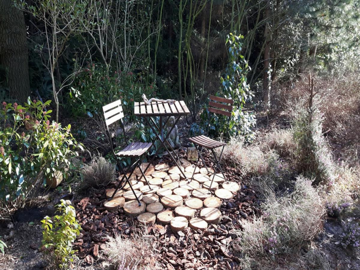 Garden Summer