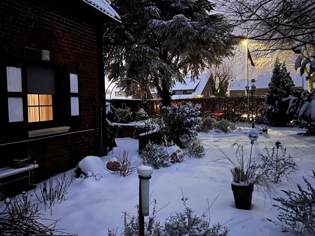 Garden Winter