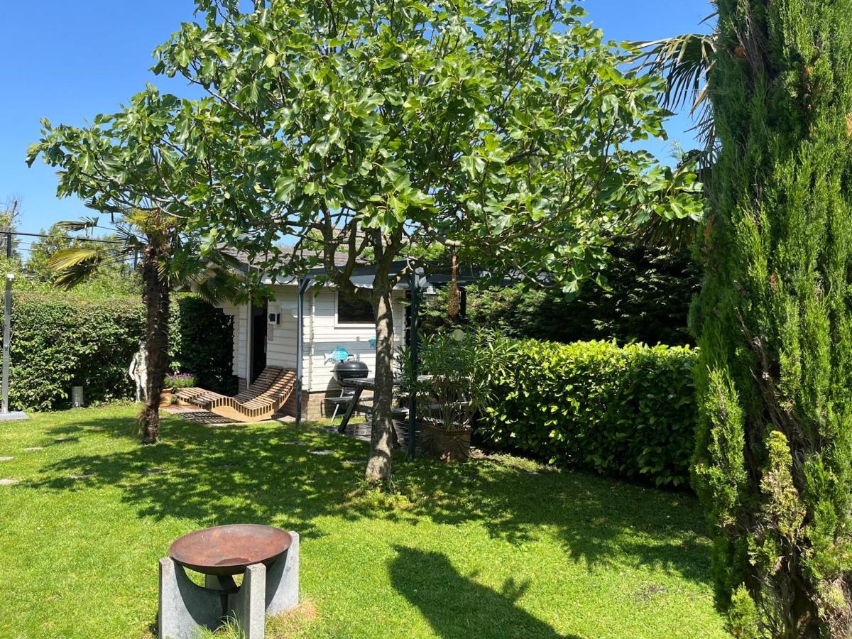 Garden Summer