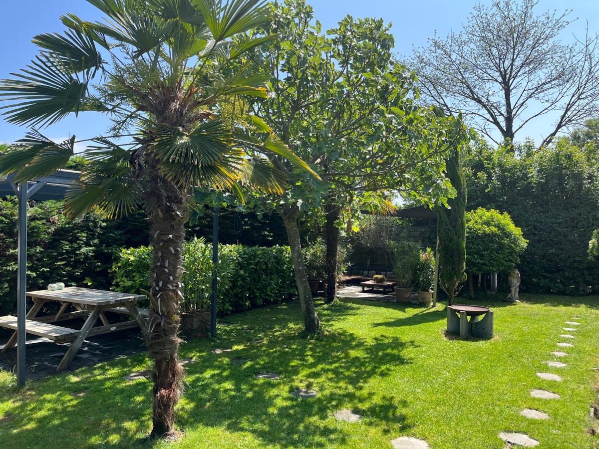 Garden Summer