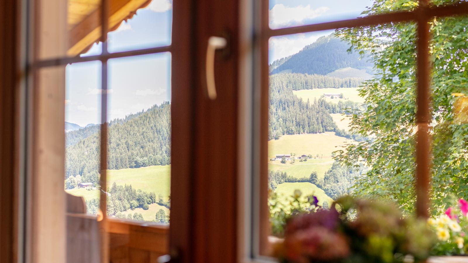 Koglbauer - Apartment Nr 5 - Uitzicht zomer