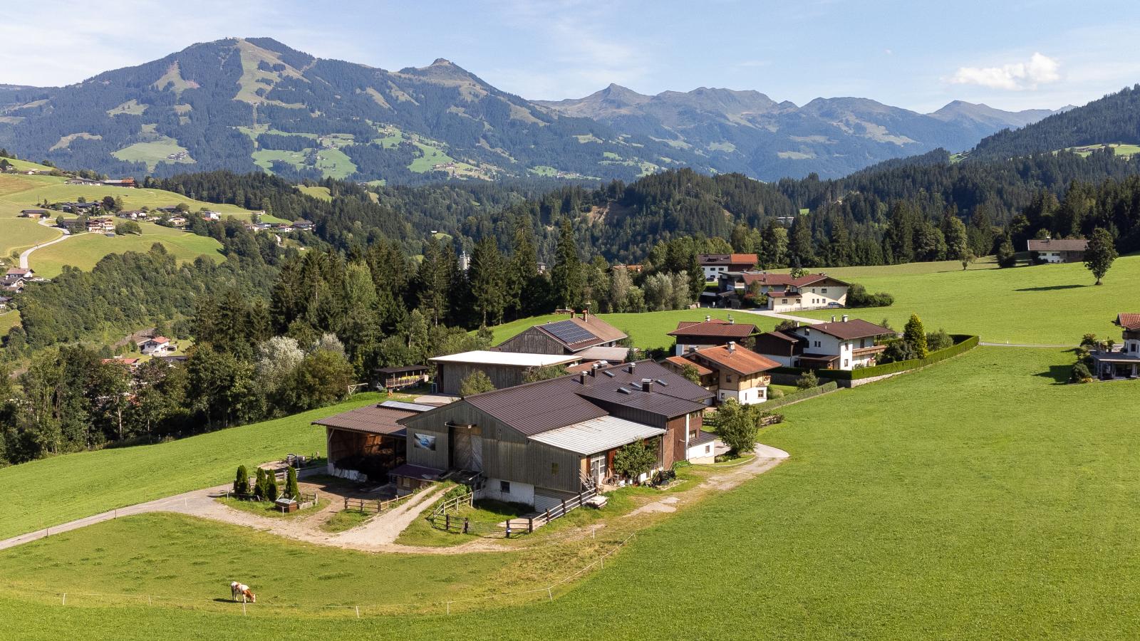 Anna Maria-Außenbereich Sommer