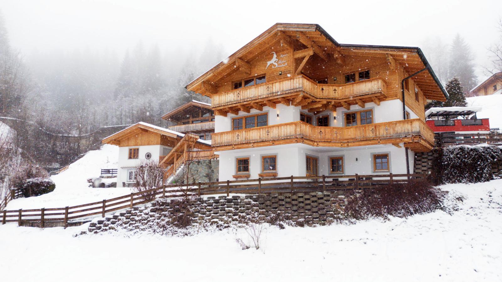 Alpensteinbock Saalbach-Exterieur winter