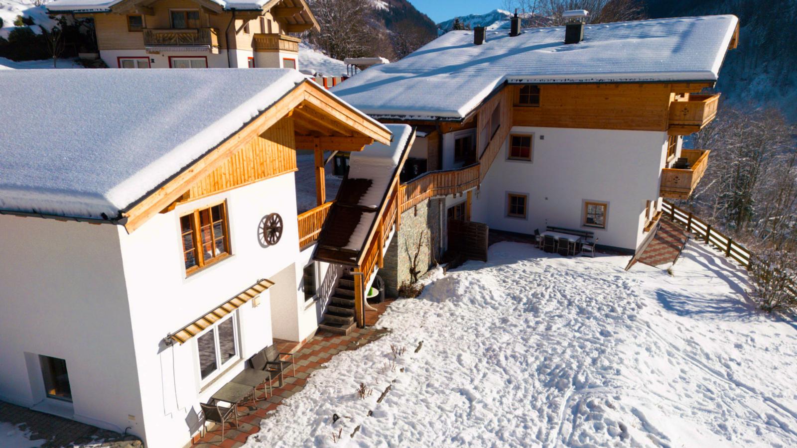 Alpensteinbock Saalbach-Exterieur winter