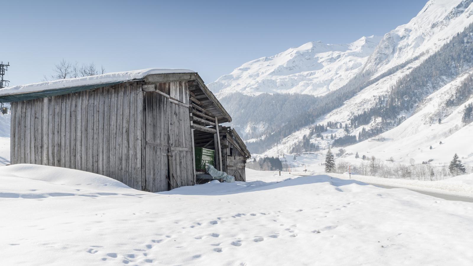 Ignaz - Gebied winter 5km