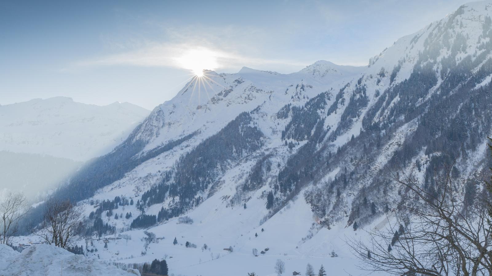 Ignaz - Gebied winter 20km