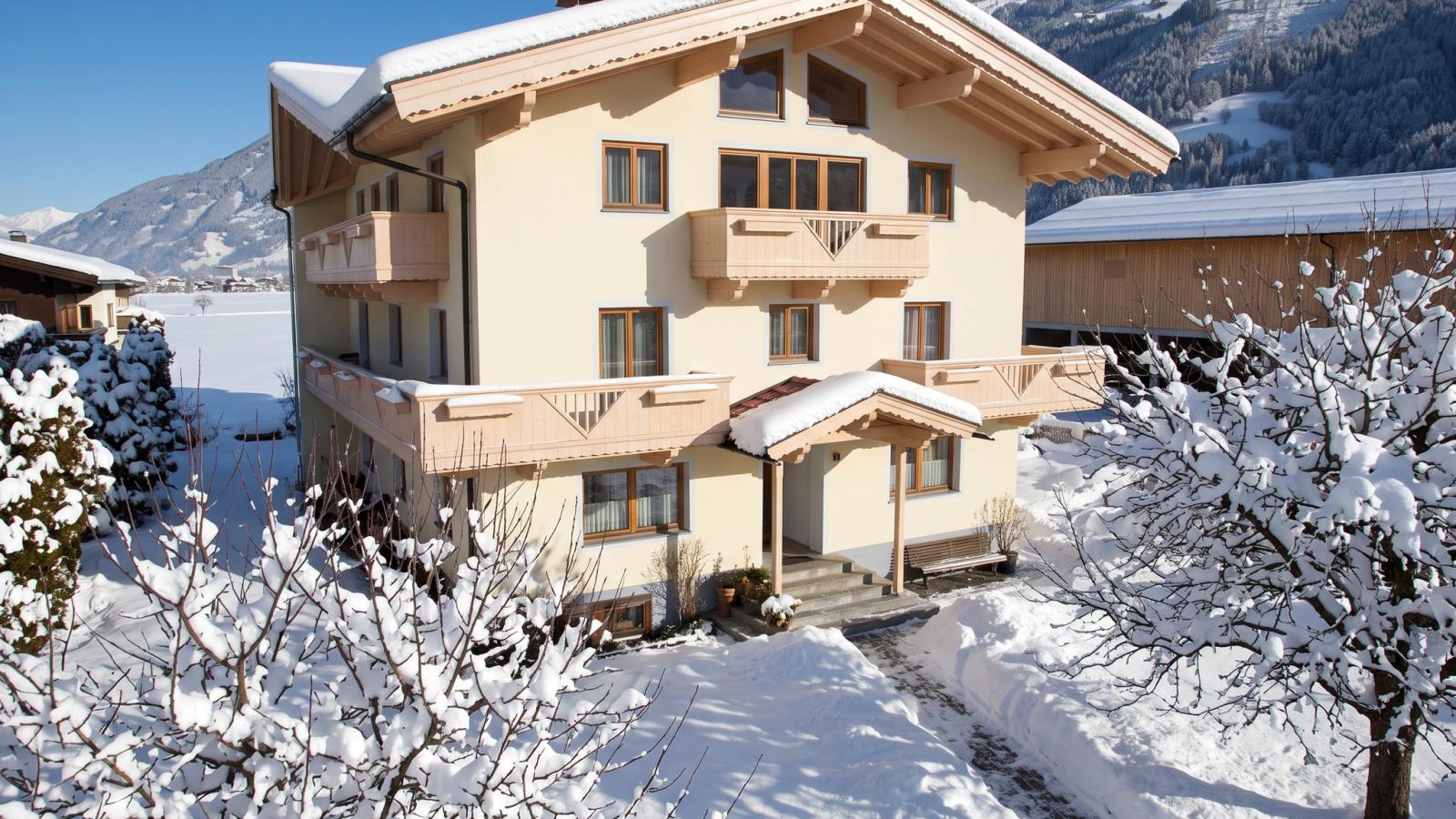 Ferienhaus Haas II - Exterior in winter