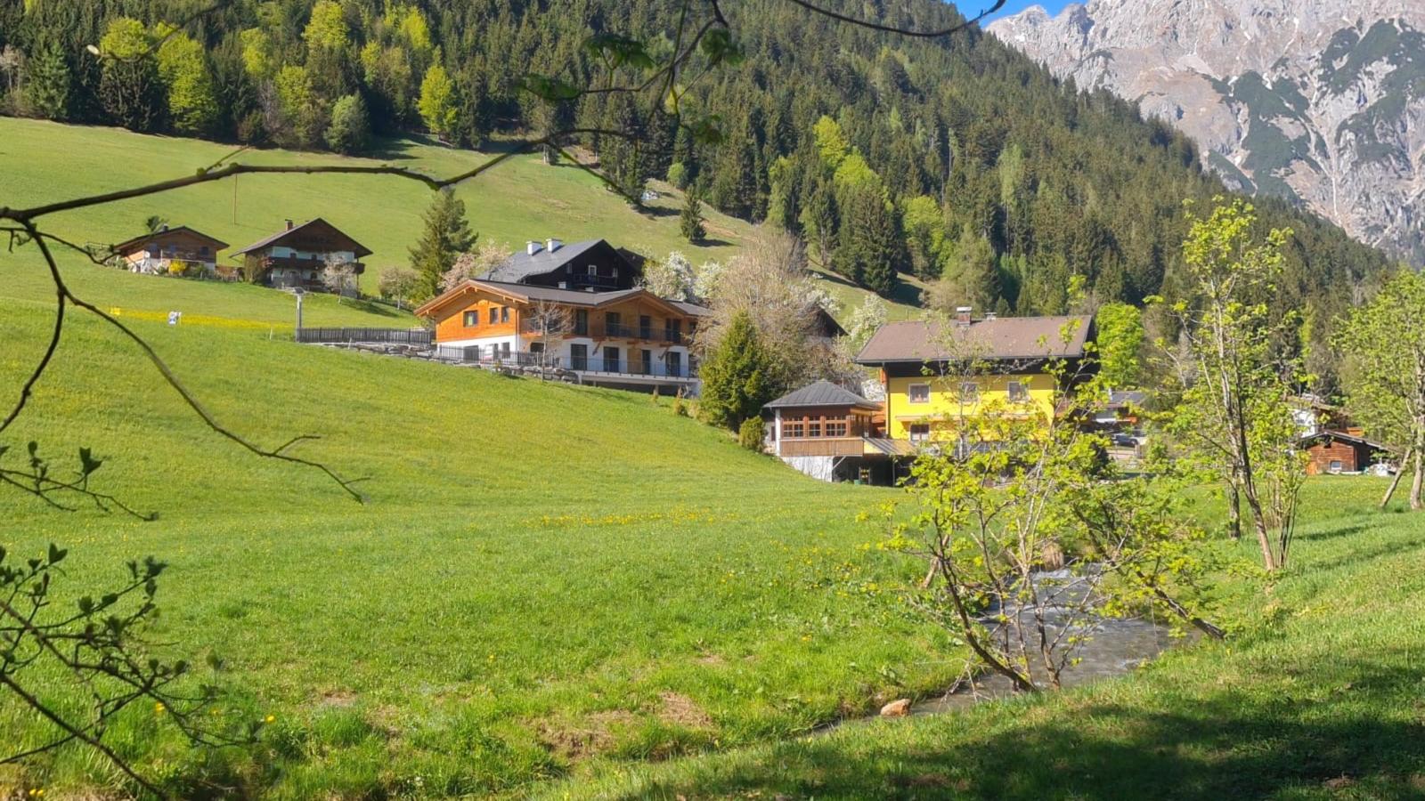 Werfenblick