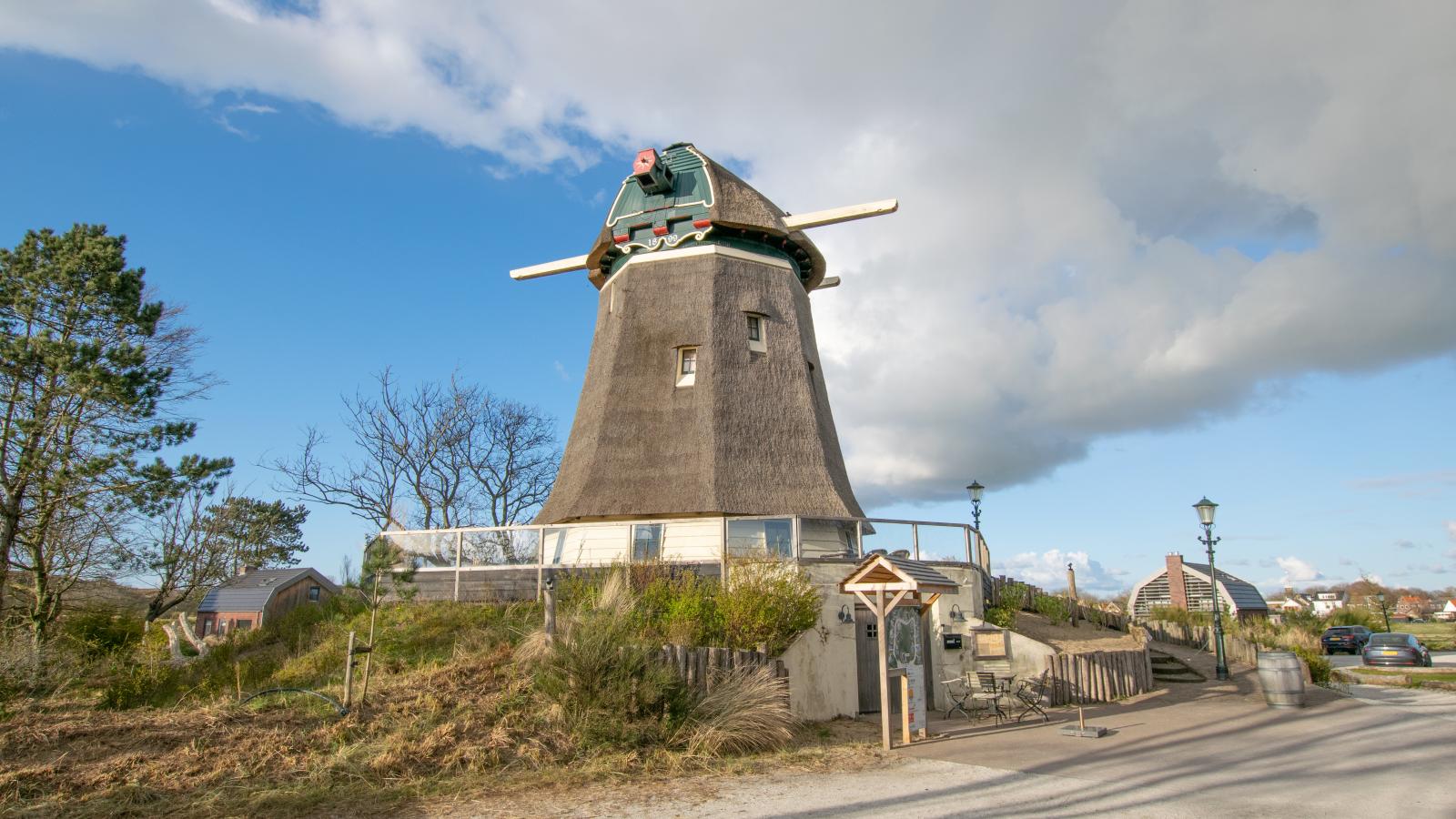 Duinland-Gebieden zomer 1km