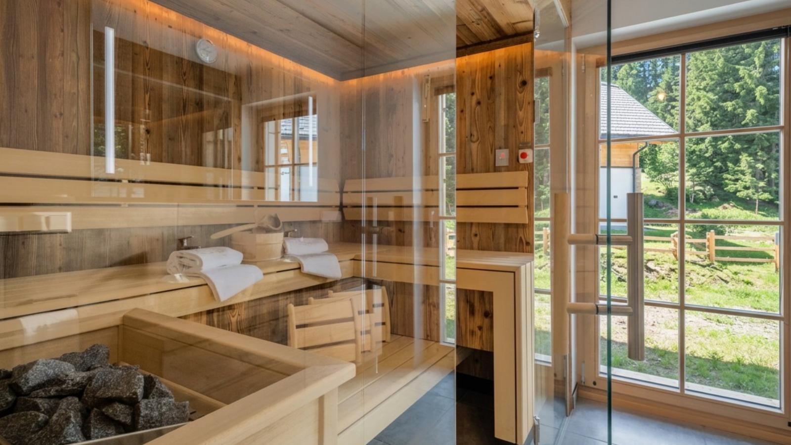 Donnersbach Lodge - Sauna