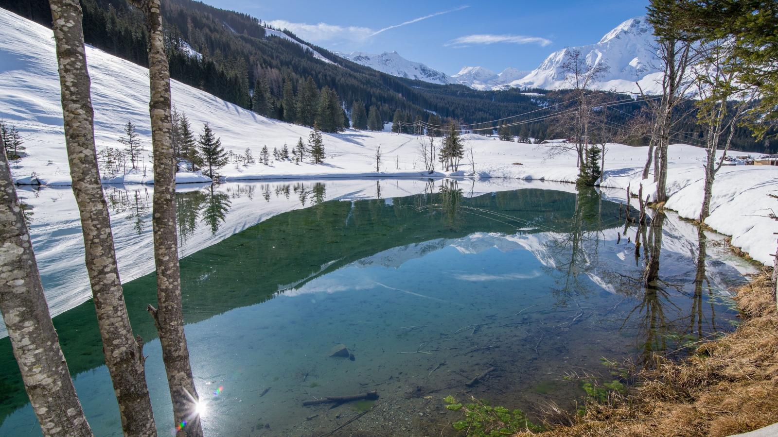 Barney-Gebied winter 1km