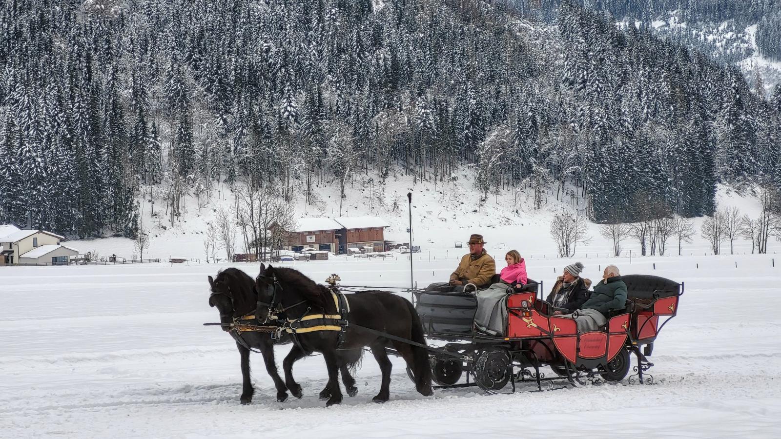 Adlerblick - Gebied winter 1km