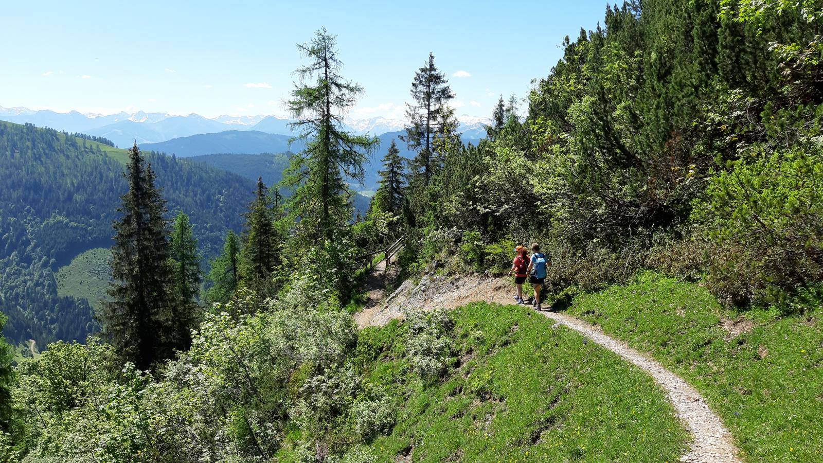 Adlerblick - Gebieden zomer 1km