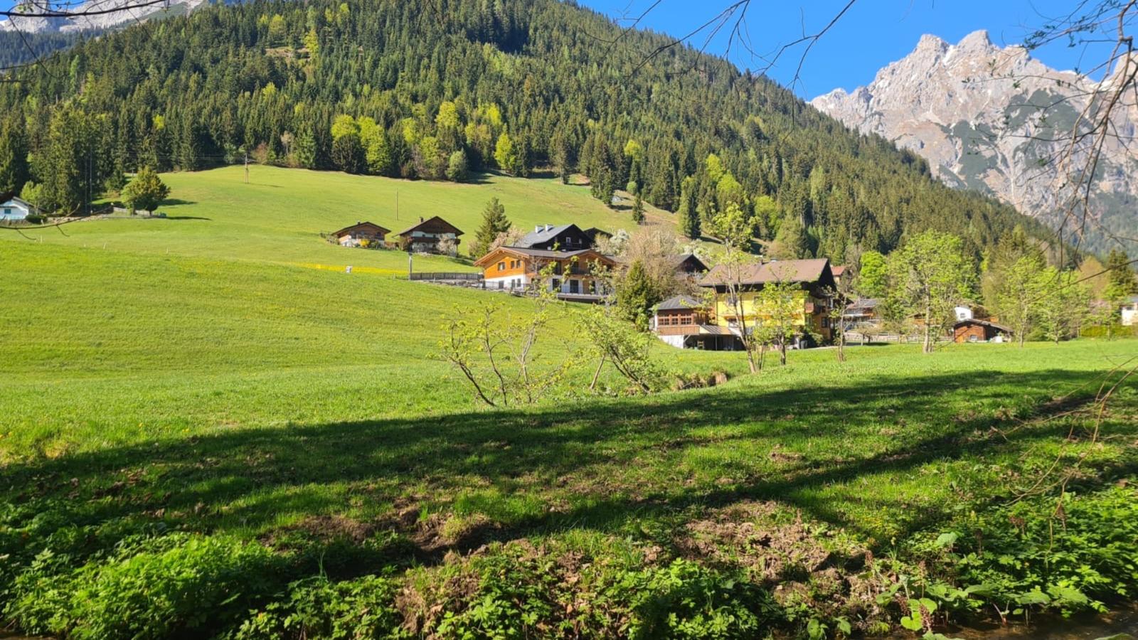 Bergblick - Außenbereich Sommer