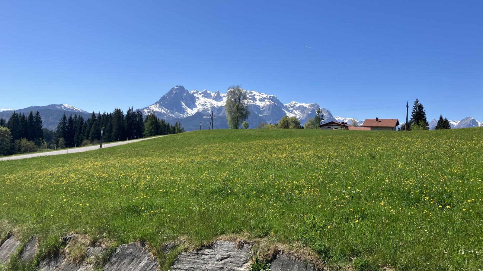 Bergblick - Aussicht Sommer