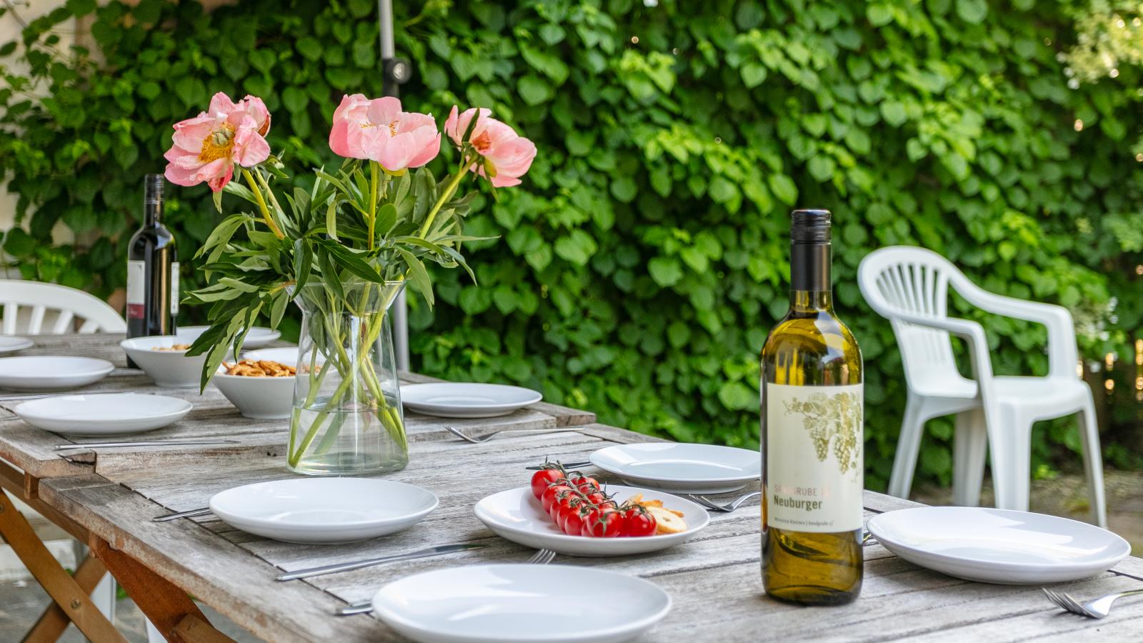 Fleckalm-Balcon-terrasse