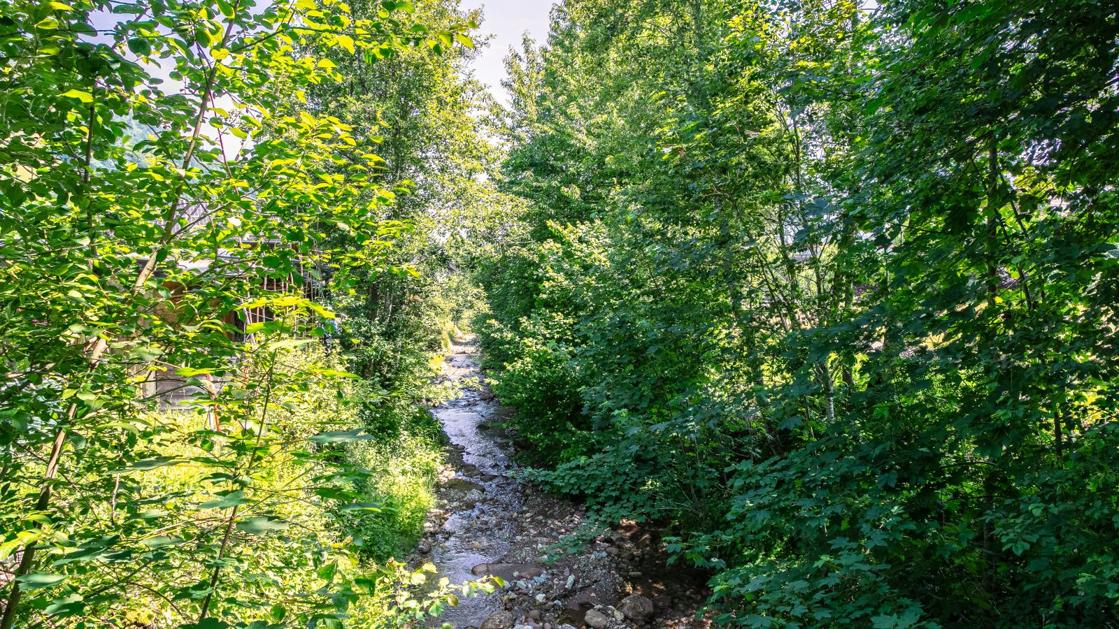 Fleckalm-Jardin d'été