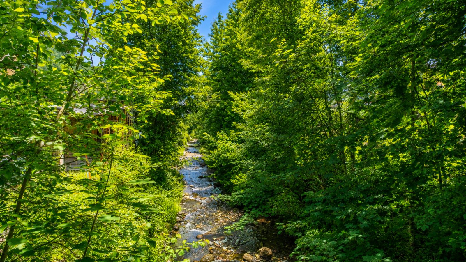 Fleckalm - Gebieden zomer 20km