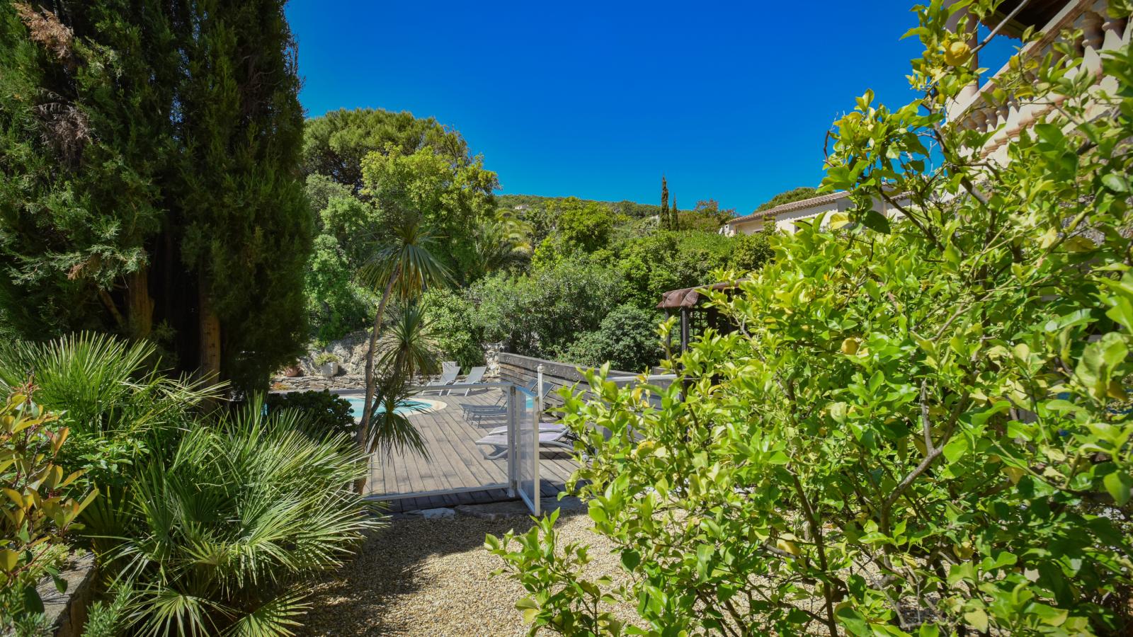 Vue Jardin - Jardins en été
